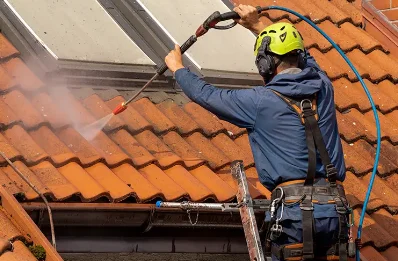 Démoussage et hydrofuge de toiture à Saulnay